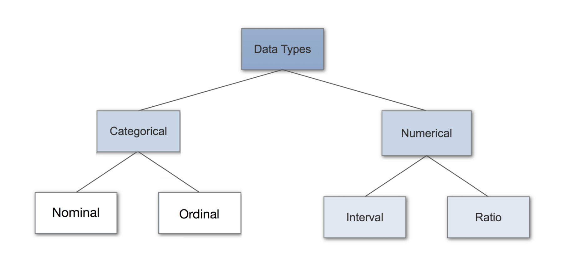 Data Types In Statistics  Towards Data Science Together With Data Analysis Worksheets High School Science