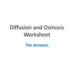 Diffusion And Osmosis Worksheet Answers Or Diffusion And Osmosis Worksheet Answers Biology