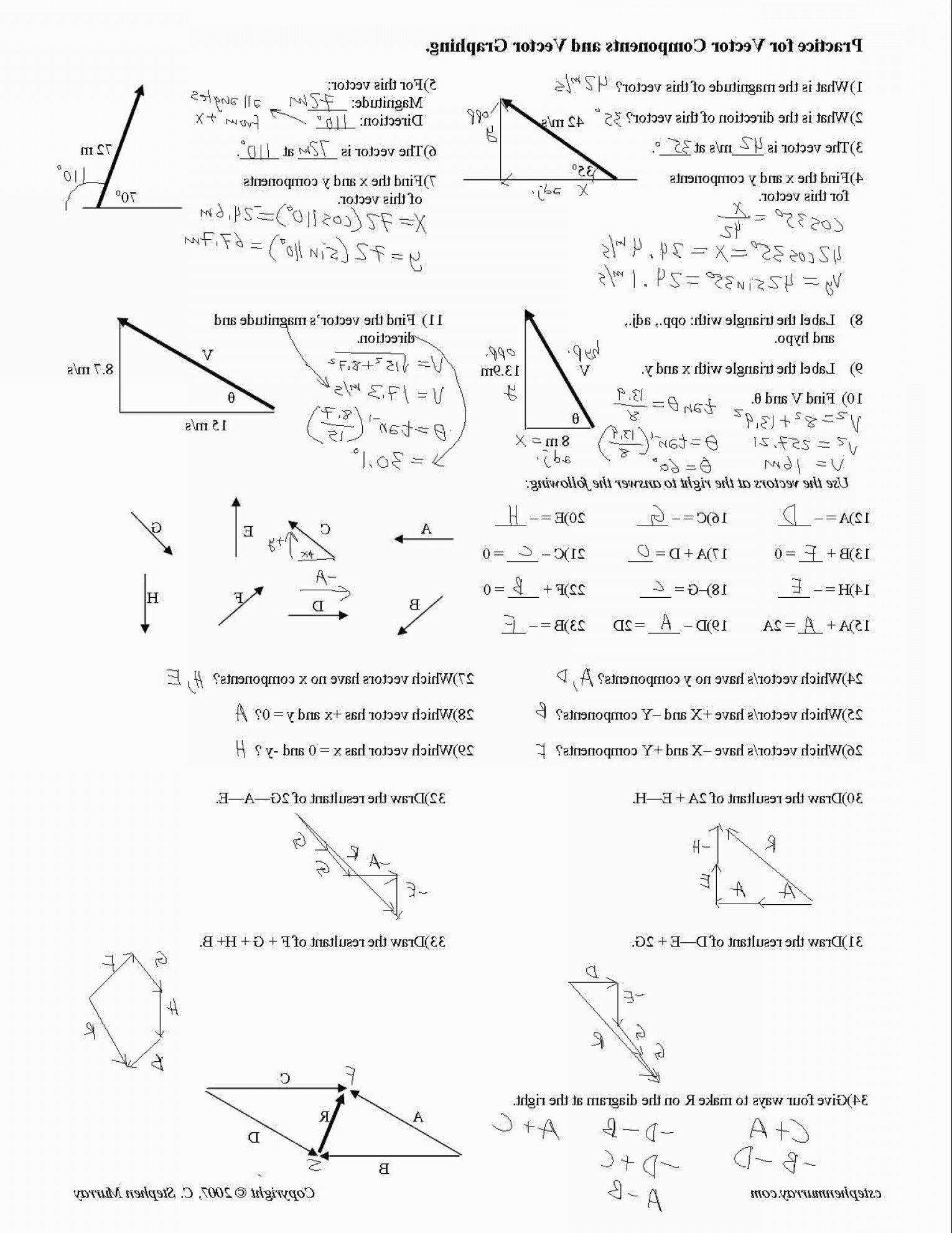 Osmosis And Tonicity Worksheet Excelguider