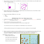 Diffusion And Osmosis Worksheet Together With Osmosis Worksheet Answers
