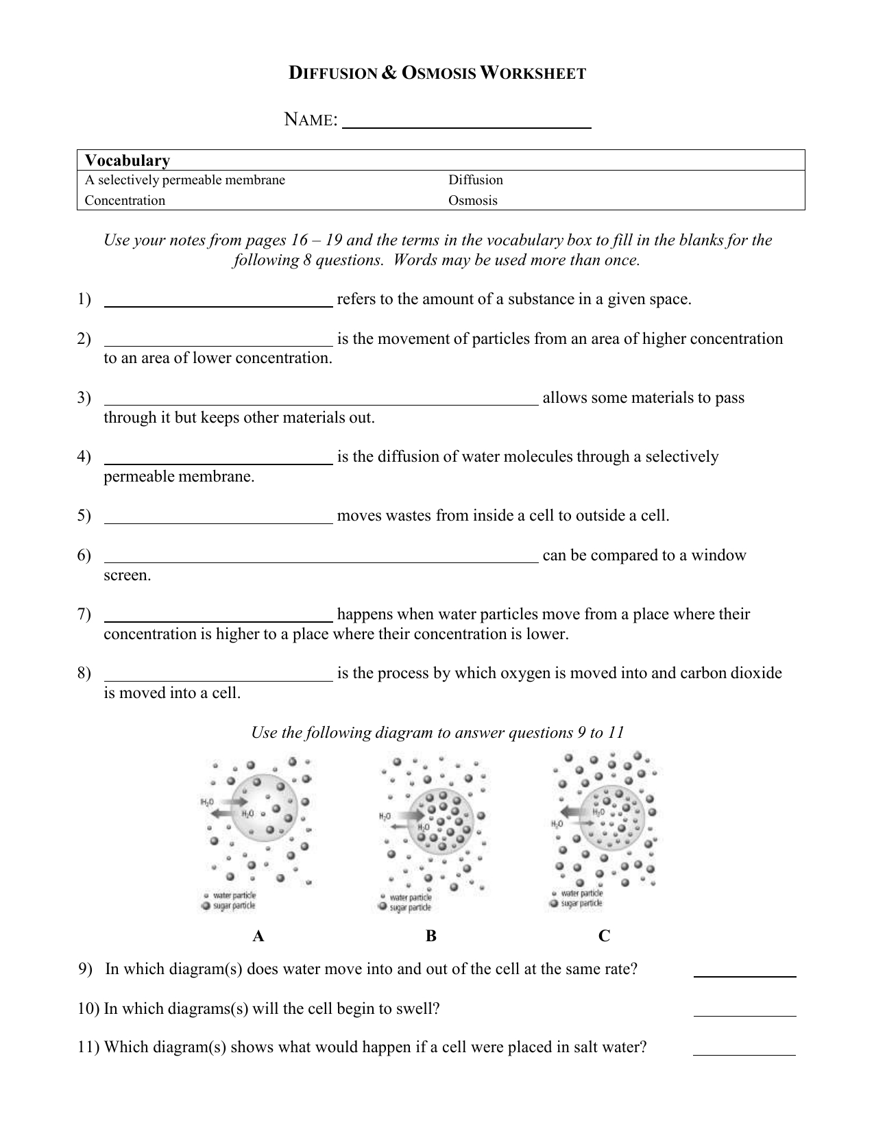 Diffusionosmosisworksheet 4 For Diffusion And Osmosis Worksheet