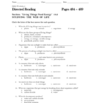 Directed Reading 182 Worksheet Along With Food Chains And Food Webs Skills Worksheet Answers