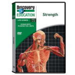 Discovery Education Human Body Pushing The Limits Dvd's  Carolina For Human Body Pushing The Limits Strength Worksheet