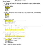 Dna 12 123 Questions Answer Key Together With Dna Molecule And Replication Worksheet Answers