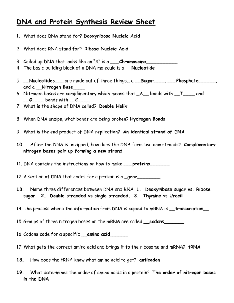 Dna And Protein Synthesis Review Sheet Pertaining To Protein Synthesis Review Worksheet