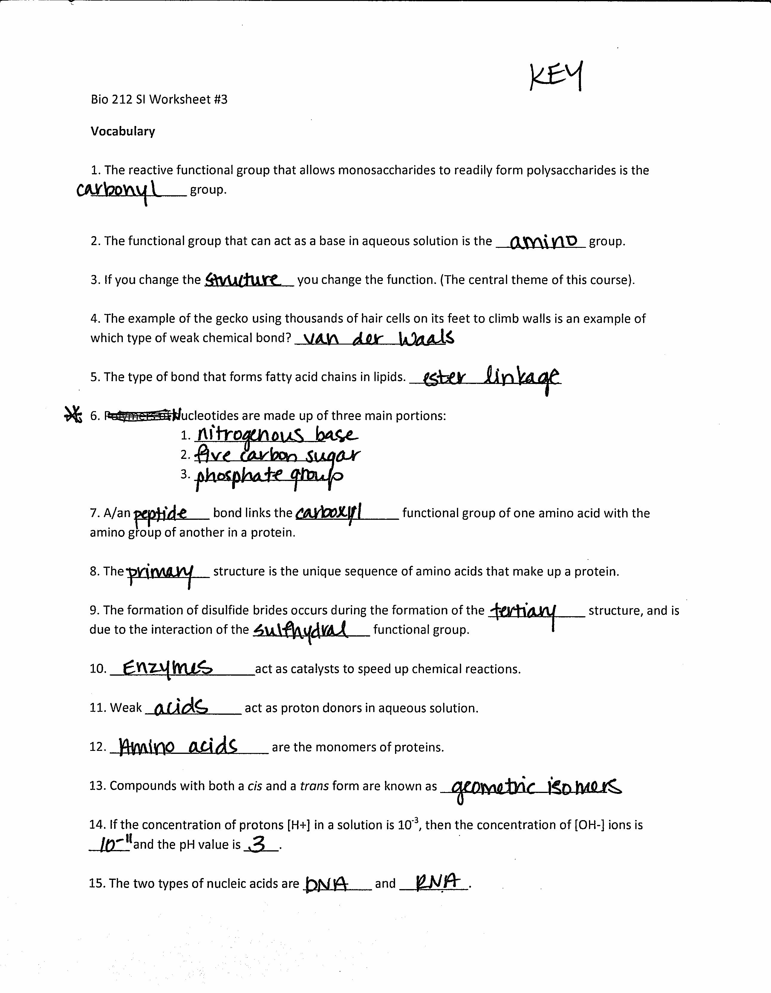 Dna And Replication Worksheet Answers Adding And Subtracting For Dna Structure Worksheet Answer Key