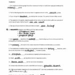 Dna And Replication Worksheet Answers Adding And Subtracting Intended For Dna Replication Worksheet Answer Key