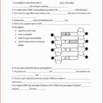 Dna And Replication Worksheet Math Worksheets As Well As Dna Replication Coloring Worksheet