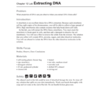 Dna Extraction Lab And Strawberry Dna Extraction Lab Worksheet Answers