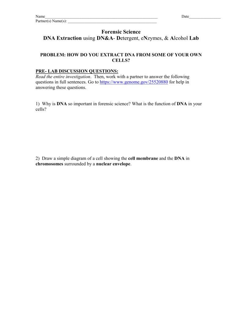 Dna Extraction Lab With Regard To Dna Extraction Virtual Lab Worksheet
