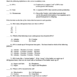 Dna Genes And Chromosome Quiz Together With Dna Structure Quiz Worksheet