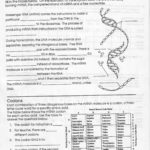 Dna Molecule And Replication Mrna And Transcription Worksheet With Mrna And Transcription Worksheet