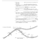 Dna Replication—An Overview With Dna Replication Worksheet Answer Key