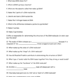 Dna Replication Review Worksheet Also Dna Replication Review Worksheet Answers