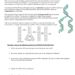 Dna Replication Worksheet 2015 For Dna And Replication Worksheet