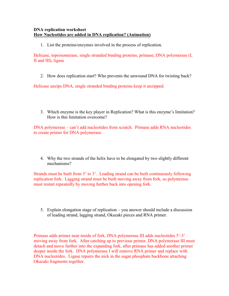 Dna Replication Worksheet – Watch The Animations And Answer For Dna Replication Worksheet Answer Key
