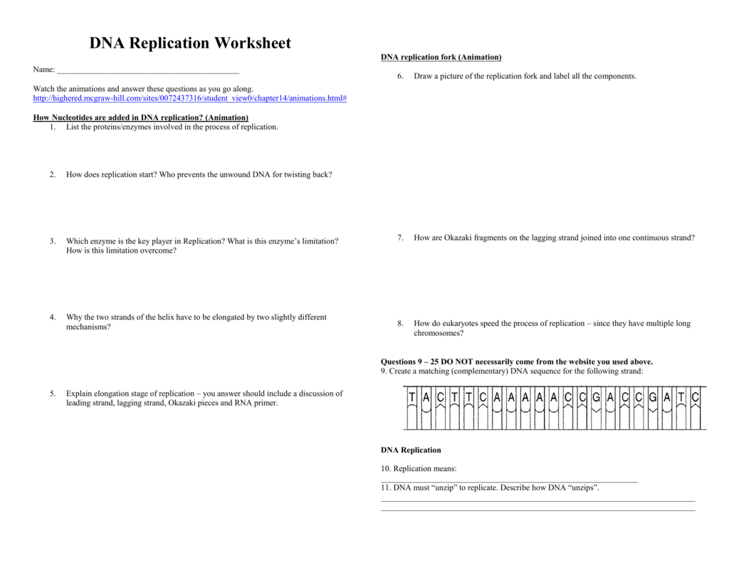 Dna Replication Worksheet – Watch The Animations And Answer Regarding Dna Replication Worksheet Key