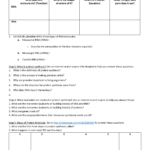Dna Rna And Protein Synthesis Webquest Inside Dna Rna And Proteins Worksheet Answer Key