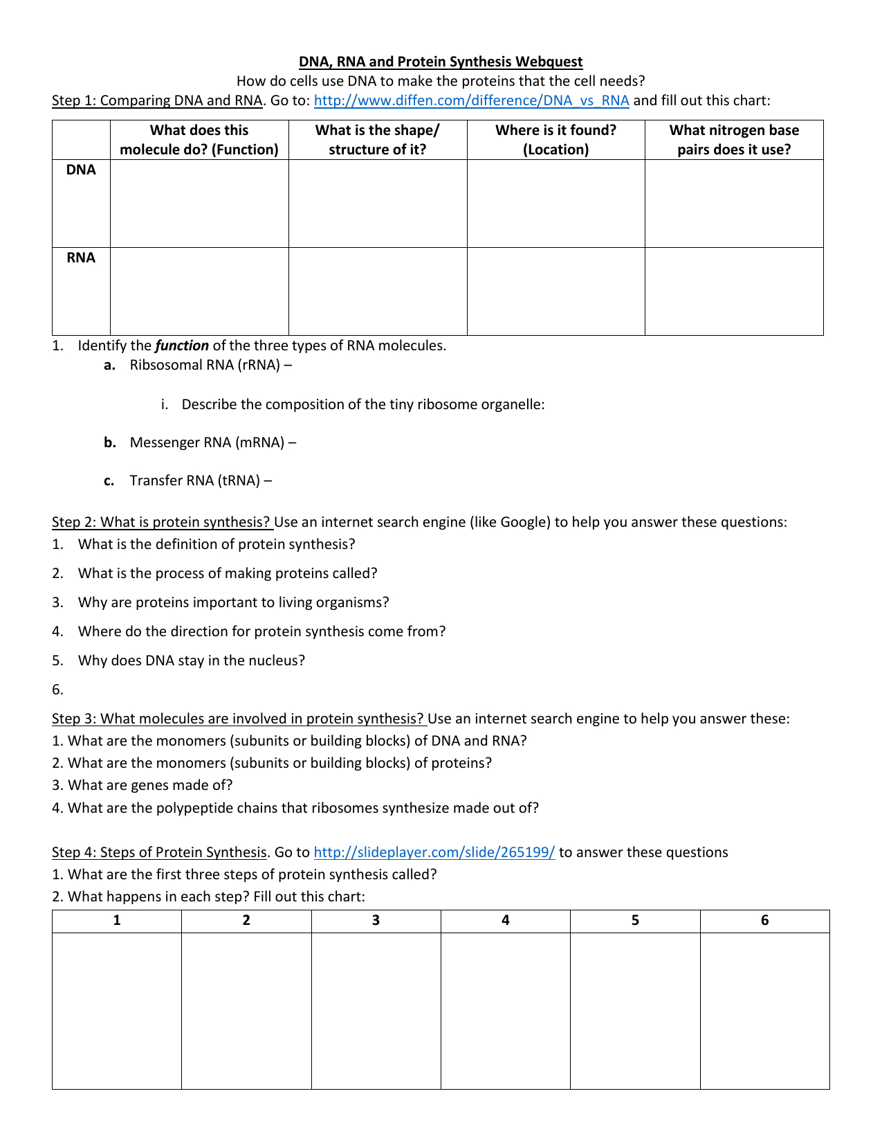 Dna Rna And Protein Synthesis Webquest Intended For Dna Rna And Protein Synthesis Worksheet Answer Key