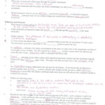 Dna Rna And Protein Synthesis Worksheet Answer Key  Briefencounters Along With Dna Rna And Protein Synthesis Worksheet Answers