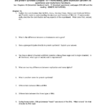 Dna Rna And Protein Synthesis Worksheet Answers In Nucleic Acids And Protein Synthesis Worksheet Answer Key
