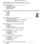 Dna Rna And Proteins Worksheet Also Dna Molecule And Replication Worksheet Answers