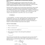 Dna Scissors Introduction To Restriction Enzymes With Regard To Restriction Enzyme Worksheet Answers