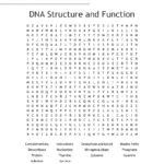 Dna Structure And Function Word Search  Wordmint Or Dna Structure And Function Worksheet