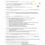 Dna Structure Worksheet Answers Dna The Molecule Of Heredity Inside Dna The Molecule Of Heredity Worksheet