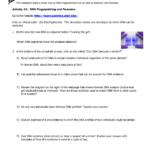 Dna Tech Webquest Throughout Virtual Gel Electrophoresis Lab Worksheet