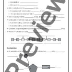 Dna The Double Helix Coloring Worksheet Key  Briefencounters For Dna The Double Helix Coloring Worksheet