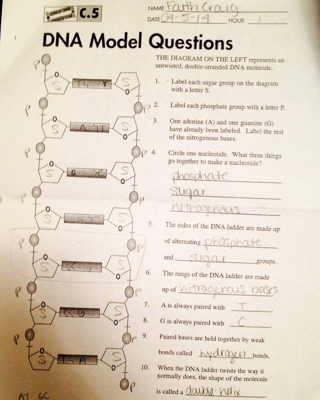 Dna The Molecule Of Heredity Worksheet Answers Dna The Molecule Also Dna The Molecule Of Heredity Worksheet