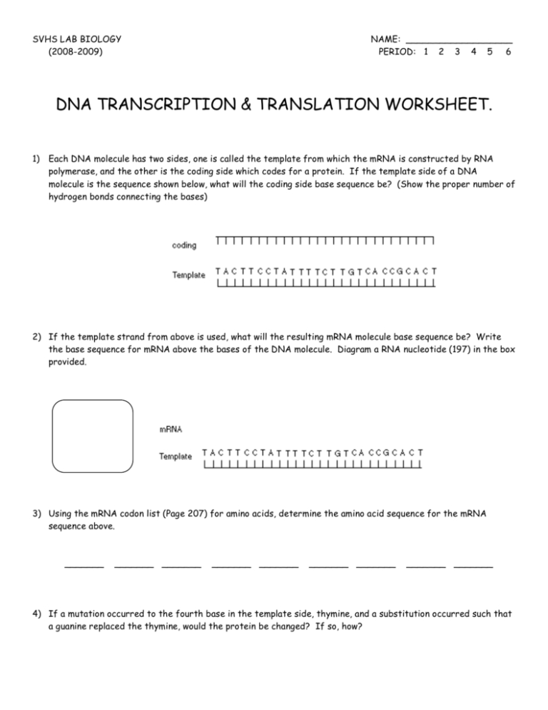 Transcription And Translation Worksheet Answer Key Biology ...