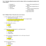 Dnarnaprotein Synthesis Test Along With Worksheet On Dna Rna And Protein Synthesis