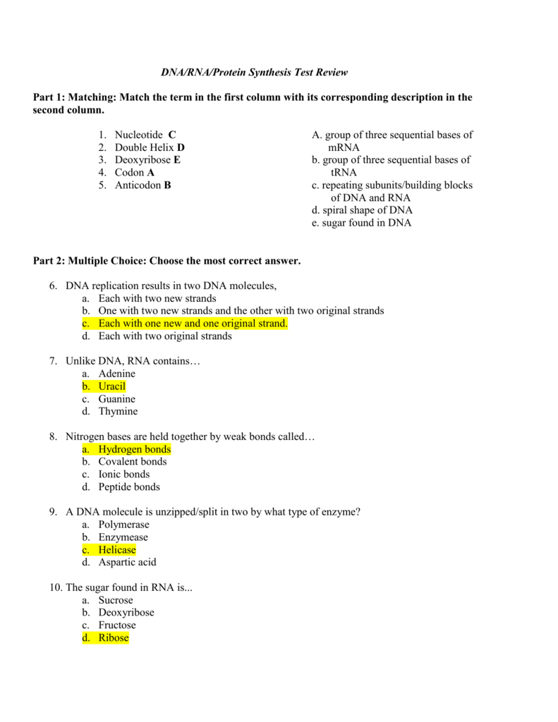 Dnarnaprotein Synthesis Test Along With Worksheet On Dna Rna And Protein Synthesis