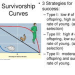 Do Now 45 Advisory Schedule  Ppt Download With Regard To Survivorship Curves Worksheet Answers