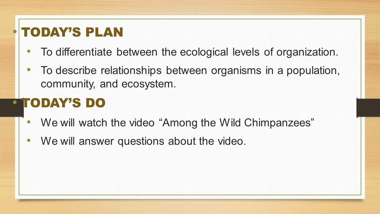 Do Now Monday Study For Test Todays Plan Demonstrate Mastery Of With Among The Wild Chimpanzees Worksheet Answers