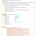 Download Ncert Solutions For Class 6 Science Updated For 20192020 Also Chapter 1 Marketing Is All Around Us Worksheet Answers