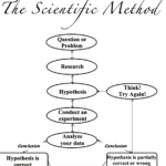 Download Scientific Method Worksheet  Kids Wikidownload Along With Scientific Method Worksheet Pdf