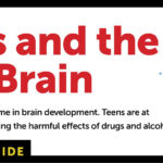 Drugs And The Teen Brain  Scholastic Nida And Substance Abuse Worksheets For Teenagers