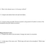 Ecology Module B Anchor 4  Pdf With Energy Through Ecosystems Worksheet