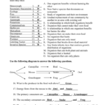 Ecology Review Sheet Name With Regard To Ecological Succession Worksheet Answer Key