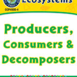 Ecosystems Producers Consumers And Decomposers  Grades 5 To 8 Also Producer Consumer Decomposer Worksheet