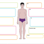 Effects Physical And Social  Alcohol Education Trust With Effects Of Alcohol Worksheet