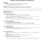 Electronic Cow Eye Dissection Lab Guide Part 1 Inside Cow Eye Dissection Worksheet