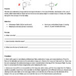 Embroidery Hoops Inertia And First Law Lab  Conceptual Science Or Inertia Worksheet Middle School