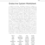 Endocrine System Worksheet Word Search  Wordmint Regarding Endocrine System Worksheet