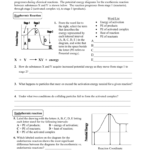 Endothermic Reactions Along With Endothermic And Exothermic Reaction Worksheet Answers