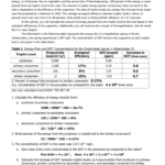 Energy Flow Calc Worksheet From Ecology Wb Answers Intended For Energy Flow In Ecosystems Worksheet Answers