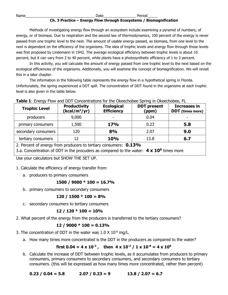 Energy Flow Calc Worksheet From Ecology Wb Answers Intended For Energy Flow In Ecosystems Worksheet Answers